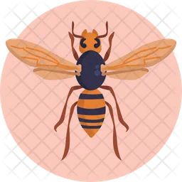 Hornet  Icon