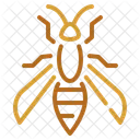 Hornet  Icon