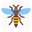 Hornet Wasp Insect Icon