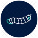 Hornworm Insect Caterpillar Icon