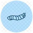 Hornworm Insect Caterpillar Icon