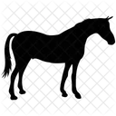 Horse Mare Colt Icon