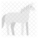 Horse Zoo Animals Icon
