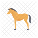 Horse Animals Mammal Icon