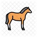 Horse Animal Color Icon