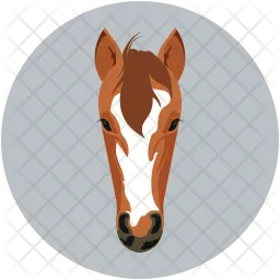 Horse  Icon