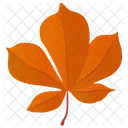 Horse Chestnut Hickory Leaf Leaf Icon