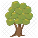 Chestnut Aesculus Hippocastanum Icon