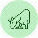 Horse Eating Hay Horse Eating Icon