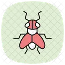 Horse Insect Fly Icon