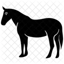 Horse Mare Colt Icon