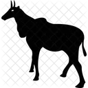 Animal Horse Domestic Animal Icon