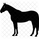 Animal Horse Domestic Animal Icon
