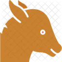 Horse Mare Colt Icon