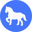 Horse Domestic Animal Animal Icon