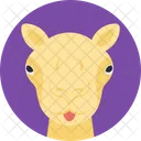 Horse Mare Colt Icon