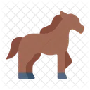 Horse Animal Equestrian 아이콘