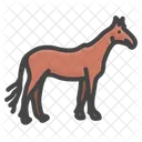 Horse Equine The Horse 아이콘