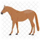 Horse Zodiac Horse Ride Icon