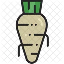 Horseradish Vegetable Root Icon