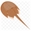 Horseshoe Crab King Crab Marine Arthropod Icon