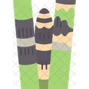 Horsetail Herb Plant アイコン