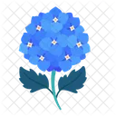 Hortensie  Symbol