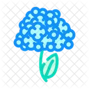 Hortensie Blume  Symbol