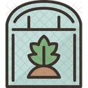 Horticulture Greenhouse Growing Icon