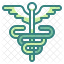 Hospital Caduceus Doctor Icon
