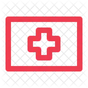 Flag Medical Health Icon