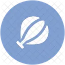 Hot Air Balloon Icon