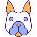 Hound Dog Puppy Icon