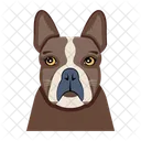 Dog Icons Animal Icons Domestic Dog Icon