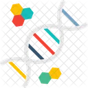 Hourglass Dna Genes Chemical Composition Icon