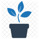 House Plant Natural Icon