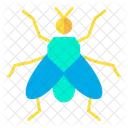 House Fly Icon