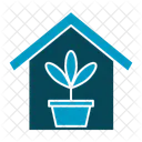 House plant  Icône