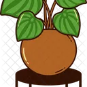 House Plant Icon