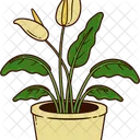 House Plant Icon