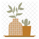 House Plant  Icon