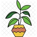 House Plant Indoor Plant Decorative Plant Icon