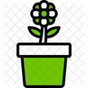 House plants  Icon