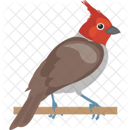 House Sparrow  Icon