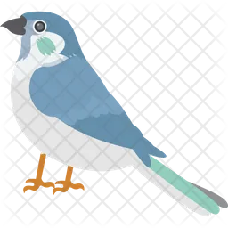 House Sparrow  Icon