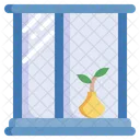 House Window Window Home Window Icon