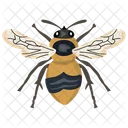 Housefly Insect Pest Icon