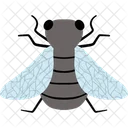 Insect Icon