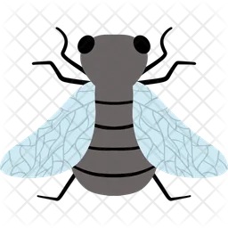 Housefly  Icon