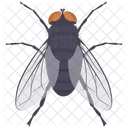 Housefly Fly Insect Icon